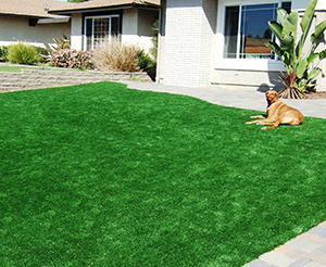Genesis_Artificial_Turf_12_Diamond_Light_Fescue-Spring_ Diamond_Pro_Fescue-Spring_ Diamond_Supreme_Fescue-Spring_Everglade_Light_Fescue-Spring¬_ Everglade_Fescue-