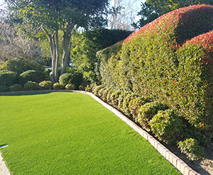 Genesis_Artificial_Turf_2 Diamond_Light_Fescue-Spring_ Diamond_Pro_Fescue-Spring_ Diamond_Supreme_Fescue-Spring_Everglade_Light_Fescue-Spring¬_ Everglade_Fescue-Spring_ E